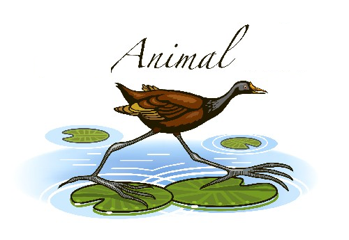 Animal Adaptations Logo